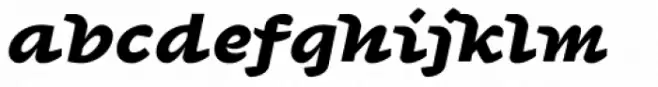 Agarsky Basic Black Italic