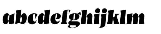 Amarga Black Italic