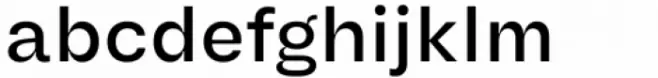 Another Grotesk Text Medium