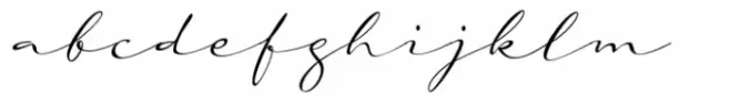 Auto Signature Script
