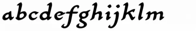 Carlin Script Medium Italic