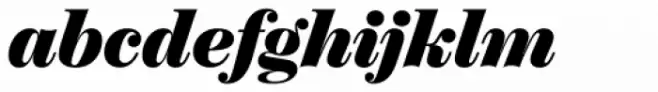 ChamberÃ­ Headline Black Italic