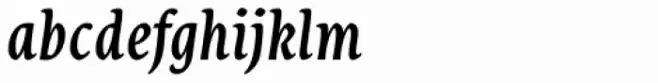 Destra Medium Italic