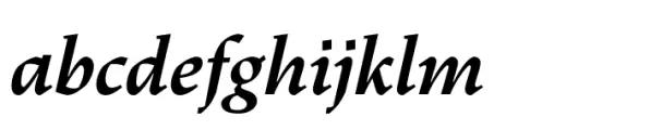 Dingocitta Bold Italic