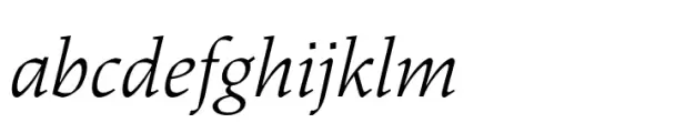 Dingocitta Italic