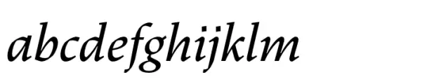 Dingocitta Medium Italic