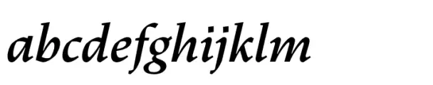 Dingocitta Semi Bold Italic