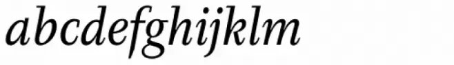Diogenes DEMO Italic