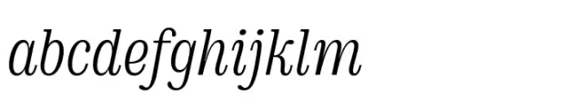 DT Augustina Slab Italic 1 Light