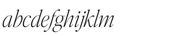 Editors Note Thin Italic