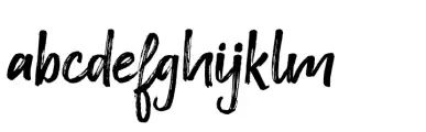 Elostyle Brush Regular