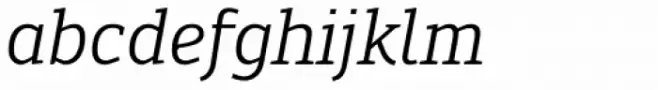 Engel New Serif Italic