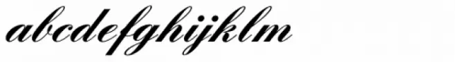 English Script Bold