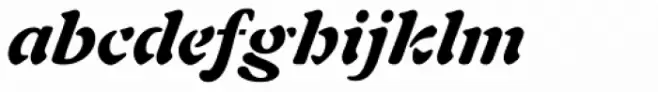 Freeform 721 Black Italic