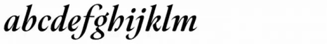 Hermann Bold Italic