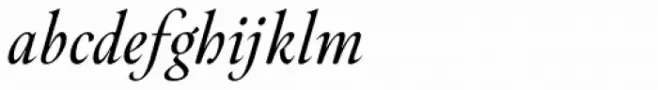 Hermann Italic