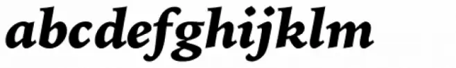 Iowan Old Style Pro Black Italic