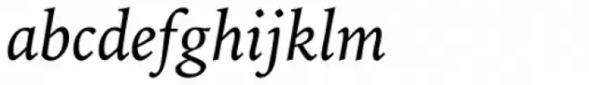 Iowan Old Style Pro Italic