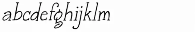 Janda Snickerdoodle Serif Italic