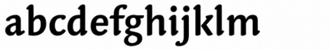 Linotype Syntax Letter Bold
