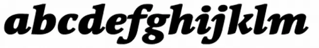 Linotype Syntax Serif OsF Black Italic