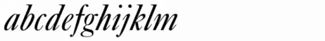 New Caslon B EF Italic