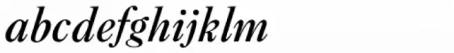 New Caslon B EF Medium Italic