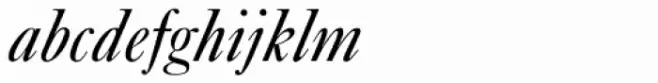 New Caslon SB Italic
