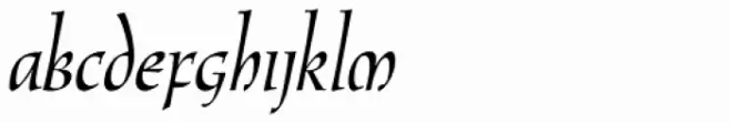 New Oxford LXSN Italic