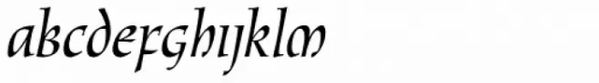 New Oxford RXSN Italic