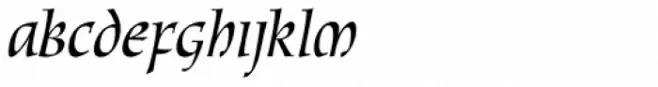 New Oxford SXSN Italic
