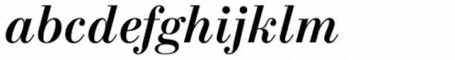 New Standard Bold Italic