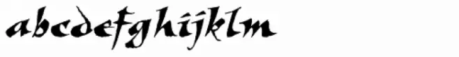 New Visigoth SXSN Italic