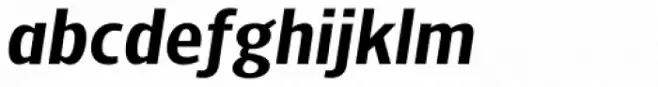NewLibris Heavy Italic