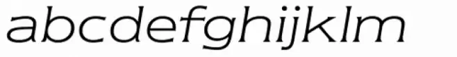 Newtext Light Italic