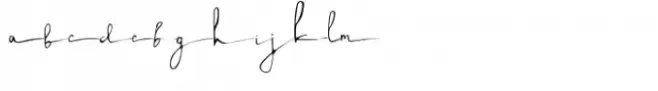 Nigel Roos Signature