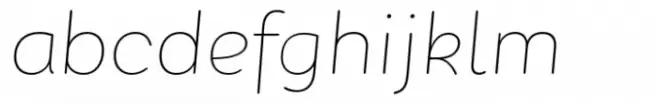 PGF Dinos Hairline Italic