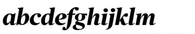 Poynter Old Style Display Bold Italic