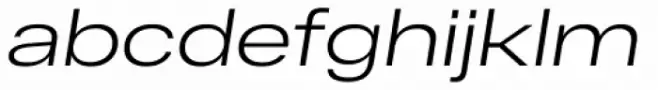 RF Dewi Expanded Light Italic