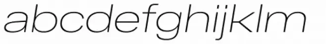 RF Dewi Expanded Thin Italic