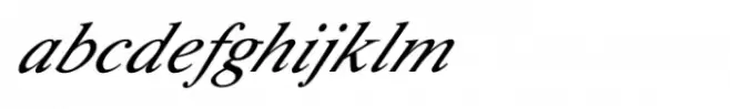 Shree Gujarati 2506 Italic