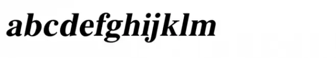 Shree Malayalam 1889 Bold Italic