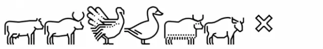 Square Line Icons Animals Animals