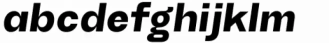 TG Haido Grotesk Extrabold Italic