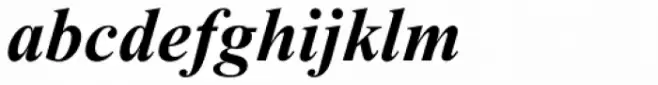 Times New Roman PS Cyrillic Pro Bold Italic