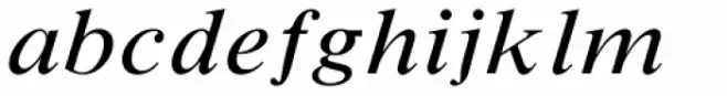 Times New Roman Small Text Std Italic