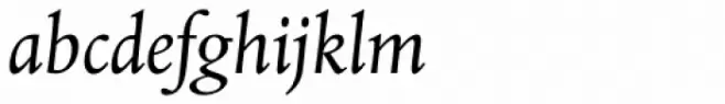 Albertina Std Italic
