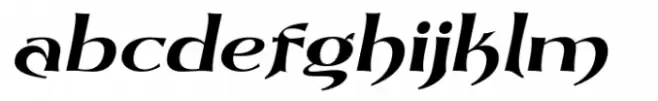 Dynasty Fantasy Medium Italic