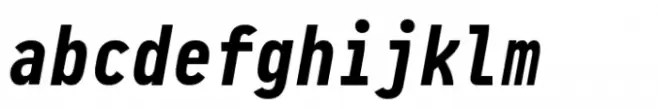 Pragmata Pro Mono Bold Italic Liga