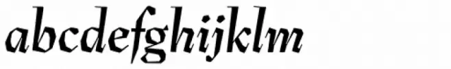 Preissig Antikva Bold Italic